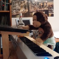 (Unexclusive) Piano Monkey