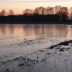 This Is The Future - Owl City - Cover Song