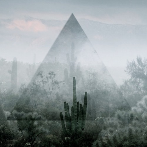 Desert Fog (Everyday Dust & Western Skies Motel)