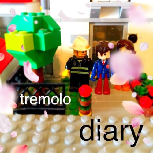 Diary