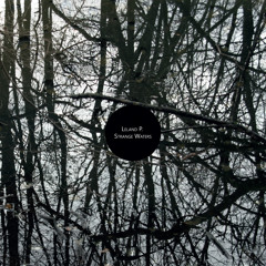 Leland P. - Stranger