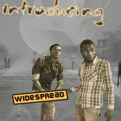 We did it again ft kamalyenge XXX