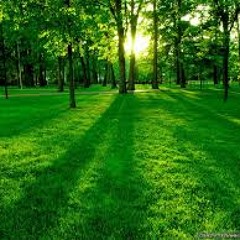 EQUINOX