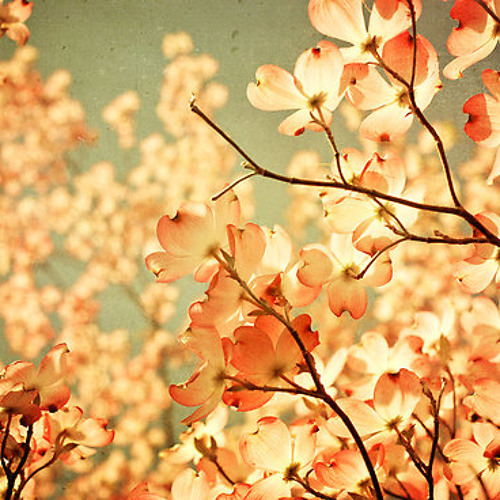 SPRINGTIME // Electronic Input 35