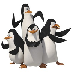 13/16