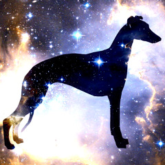 Southern Hounds: I Put A Spell On You