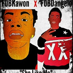 She Like Me By:Kawonkarolina X FOBDangelo Prod:By DirttyRedd