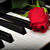 Artwork for Solveig's Song Piano Improvisation /free download in uncompressed sound quality possible/