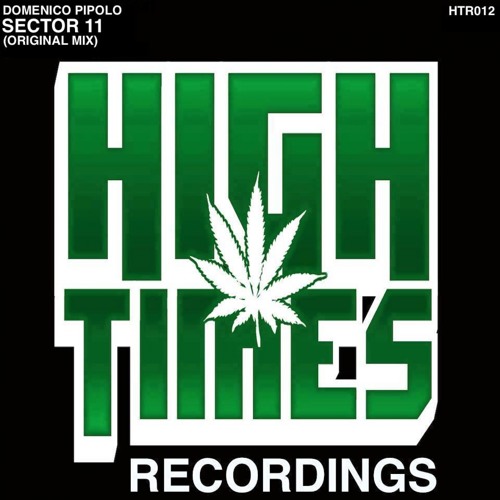 Domenico Pipolo - Sector 11 (Original Mix) *OUT NOW!*
