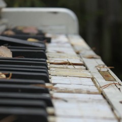 Instrumental / Acoustic / Classical