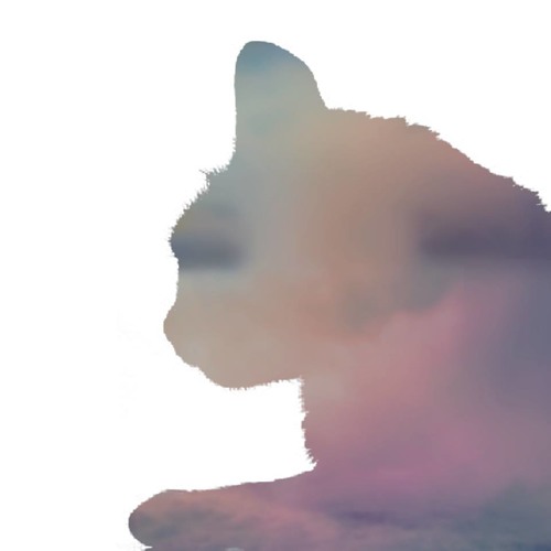 CATS ONLY CLUB