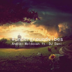 Andrei Moldovan Ft. DJ Dani - Underground Vibes