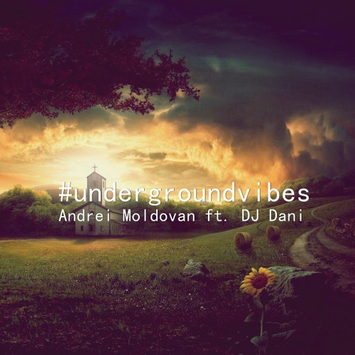 Andrei Moldovan Ft. DJ Dani - Underground Vibes