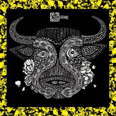 The Fan and the Bellows (Chameleons cover)