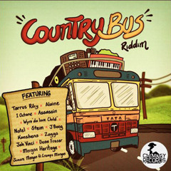 DJ STEVE AUSTIN PRESENTS - RIDDIM RIDER - COUNTRY BUS RIDDIM