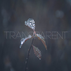 Dreamlag - Transparent (Original Mix)