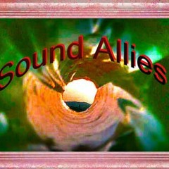 Sound Allies - Workout