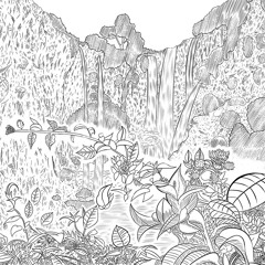 Clément + Tawfik - Ouzoud Falls (forthcoming WIDAD)