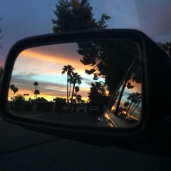 Hip Hop Hooligans - PALMTREEEZ