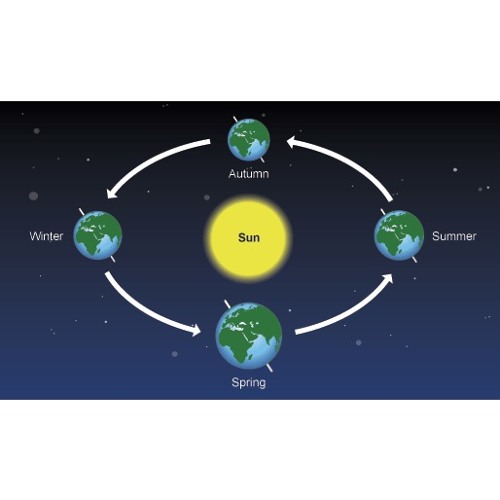 41 turns around the sun