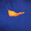 True Faith-New Order - MK Cover Extended Remix Portada del disco