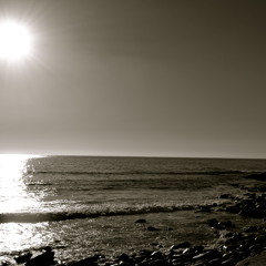 Preview -Bisrepetita - My Fantasy - Greenblood Remix ( Champcaine Records )