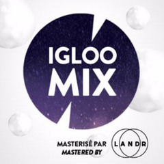 M.A.N.D.Y. @  Igloofest 2015