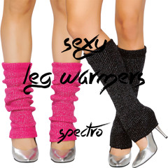 Sexy Legwarmers
