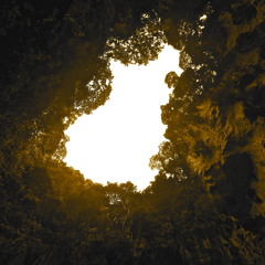 Down the Dust Trail ft. Tori Allnutt