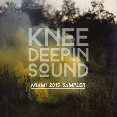 KDIS Miami Sampler - Hot Since 82's Continuous Mix