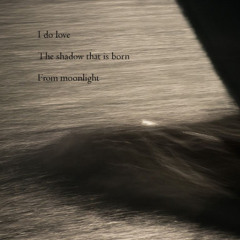 Lovely, Innit? [naviarhaiku065 - I Do Love]