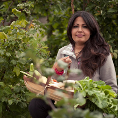 Bristol 2015 ambassador Romy Gill shares what she's in it for