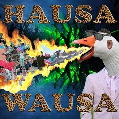 Mr. Polska & Boaz v/d Beatz - Hausa Wausa (Original Mix)