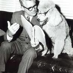 Nothing Ever Happened On The Moon