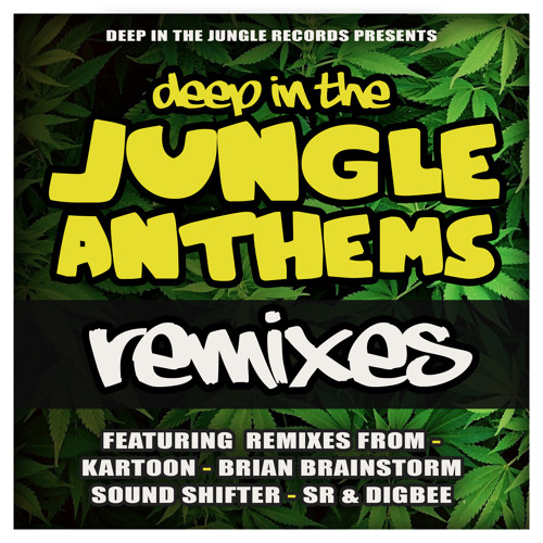 Riffz - Come & Try (SR & Digbee Remix)