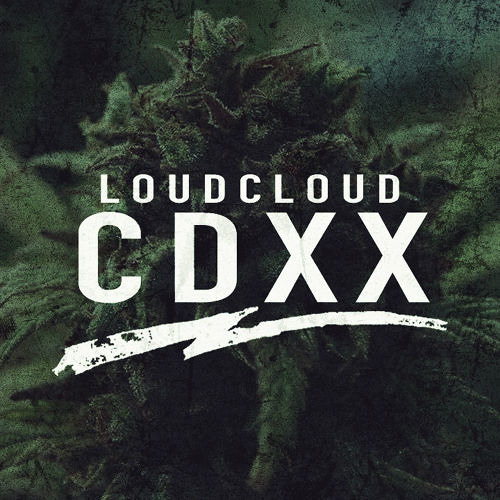 Loudcloud - CDXX / Trap Sounds Premiere