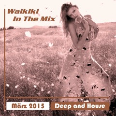 Waikiki in the Mix März 2015