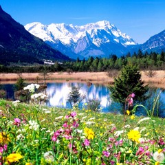 Spring2015