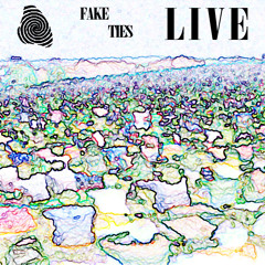 Maxx - Fake Ties (Leisure Level 2) - Live