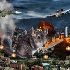 Spider in the Cash Machine