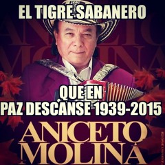 Aniceto Molina Tribute mix RIP :(