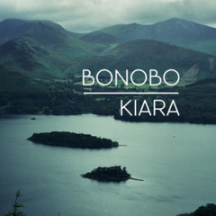 Bonobo - Kiara (Voitek Noir Rework)