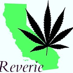 Reverie
