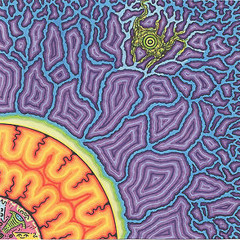 Time Freeze Phase Shift Free Fall