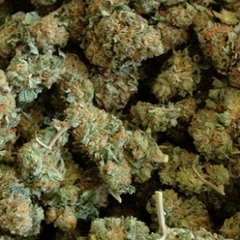 Tayy - All Ova Me (Ft. Blade , Kauge , Feu)