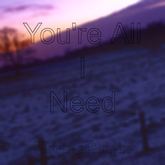 I Need All You (You're All I Need Remix)