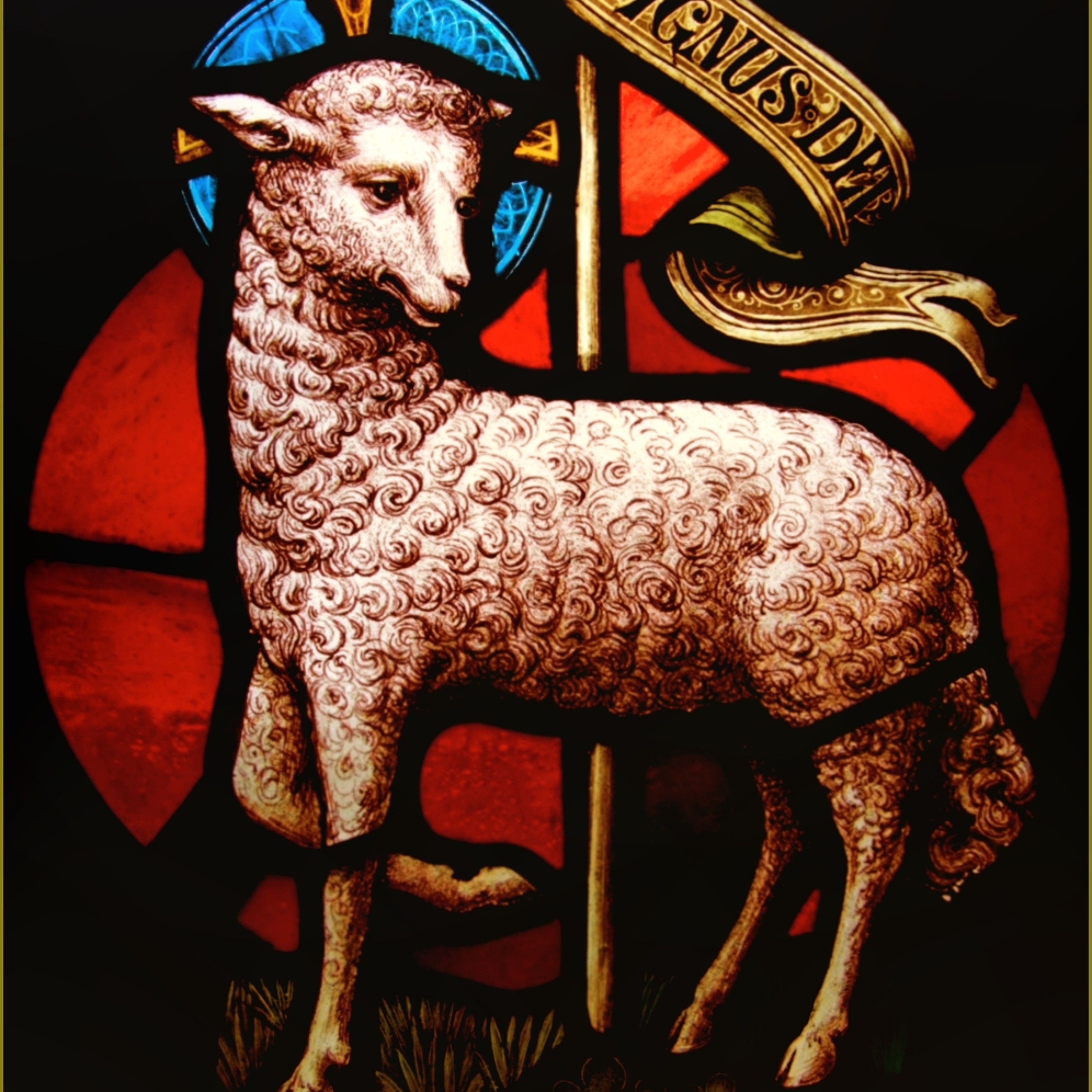 Pastor Neil