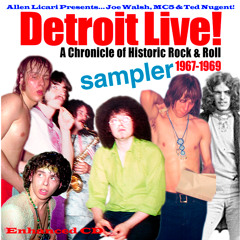 Flight Of The Bird by Ted Nugent and the Amboy Dukes Detroit LIVE! circa 1968