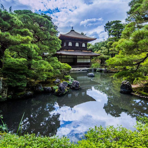 Stream Shakuhachi Master by Gray Listen online for free on SoundCloud