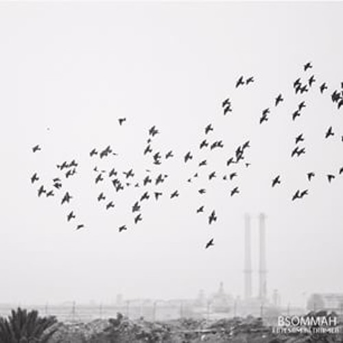 طلي ياطيور البشاير